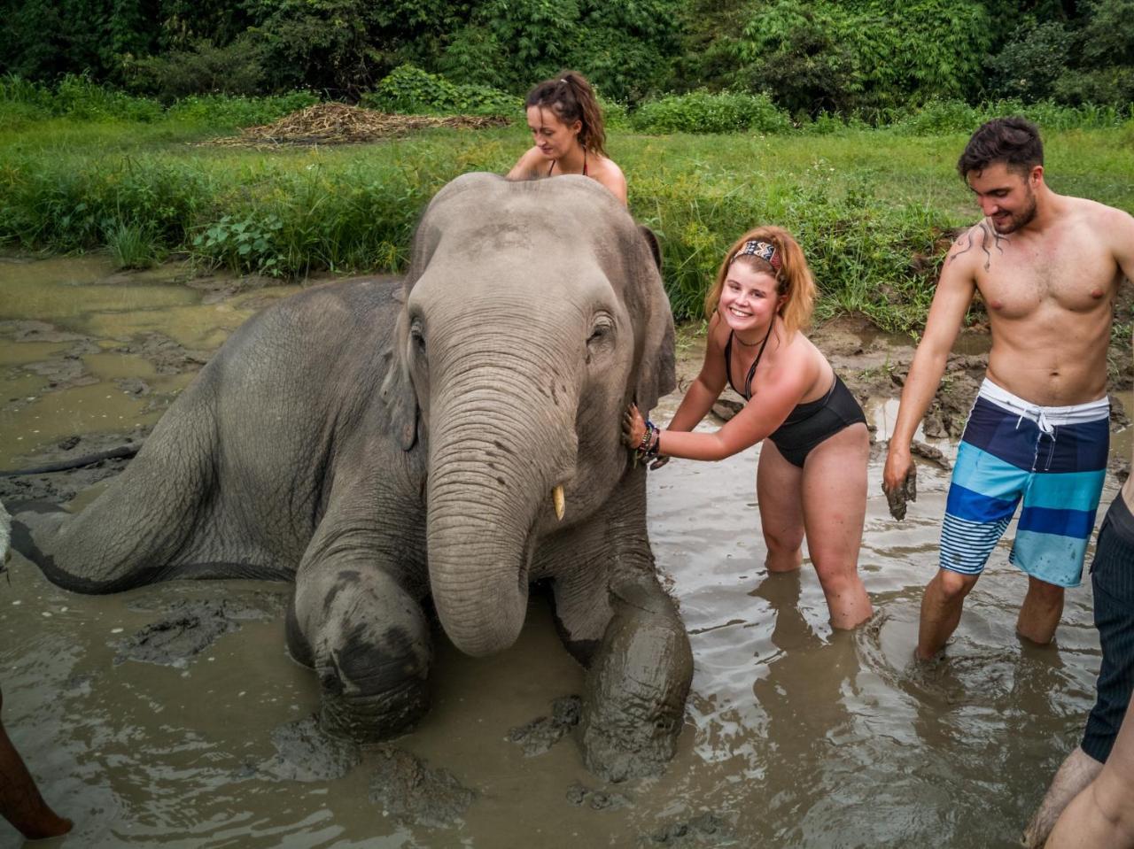 Slumber Party Hostal Chiang Mai